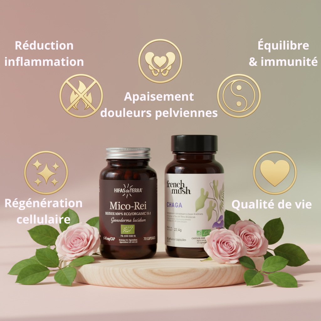 Pack Endométriose & Adénomyose - Reishi & Chaga - Apaise l'inflammation 🌸
