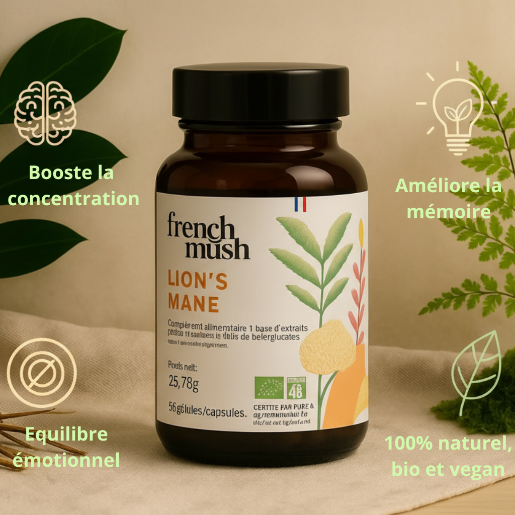 French Mush - Lion's Mane - Booste ton cerveau ⚡