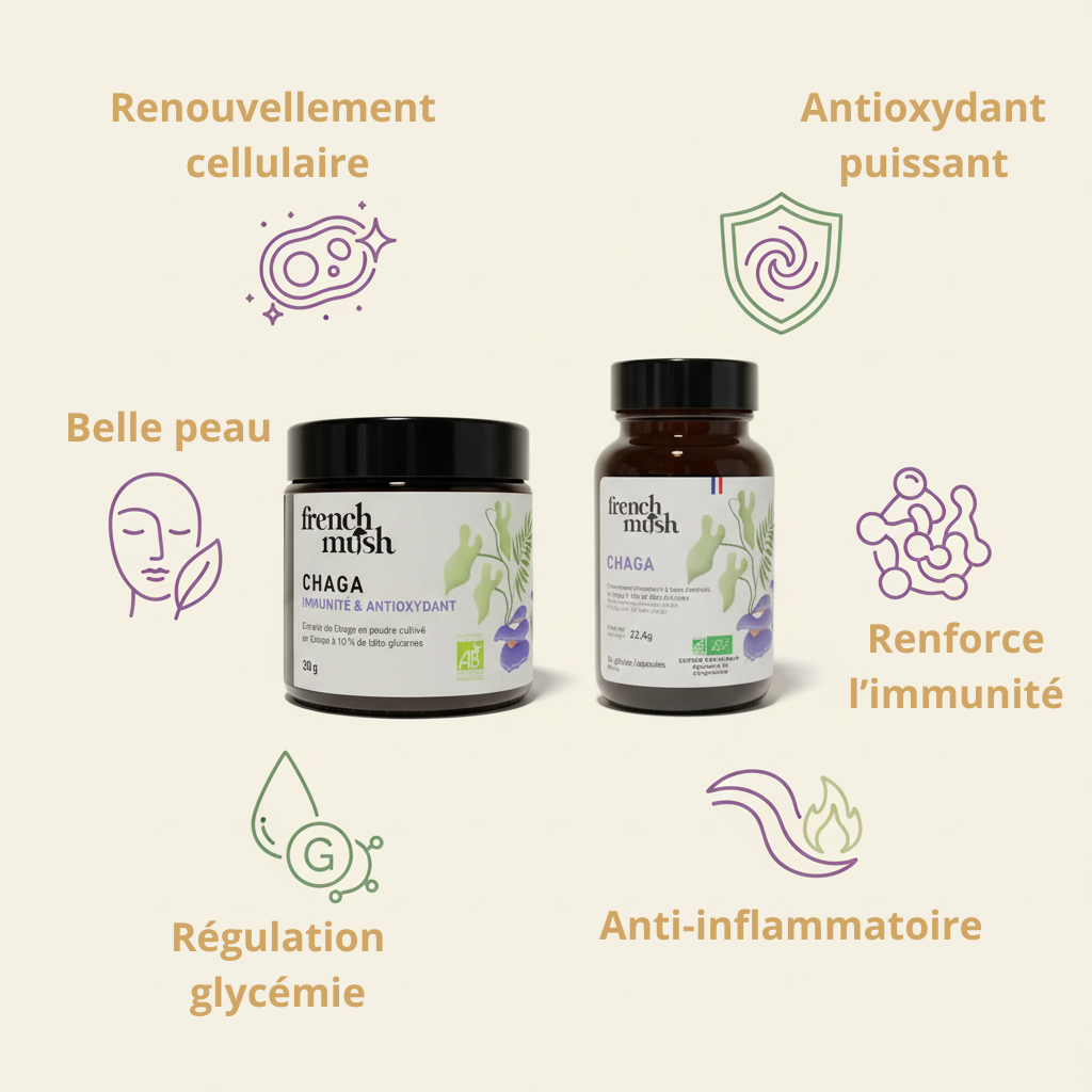 French Mush - Chaga - Renouvellement cellulaire & Belle peau ✨