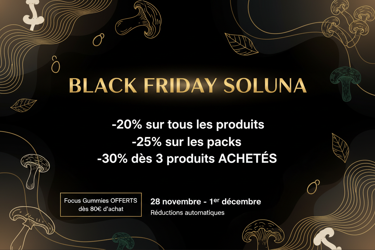 Bannière Black Friday Soluna