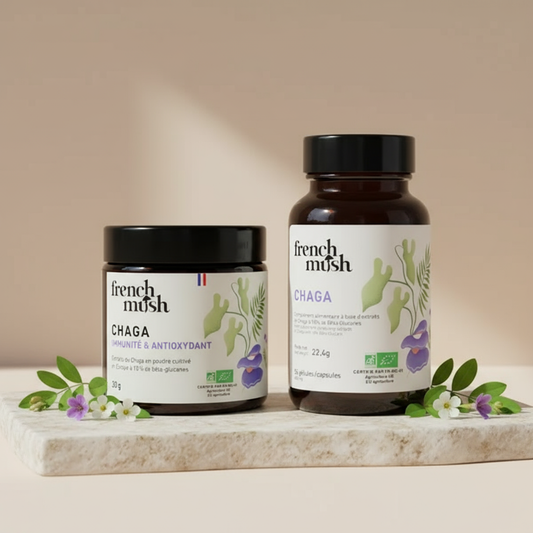 Chaga poudre et gélules avec décor naturel