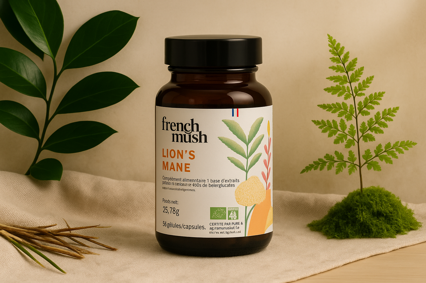 Montage French Mush Lion's Mane - détails corrects