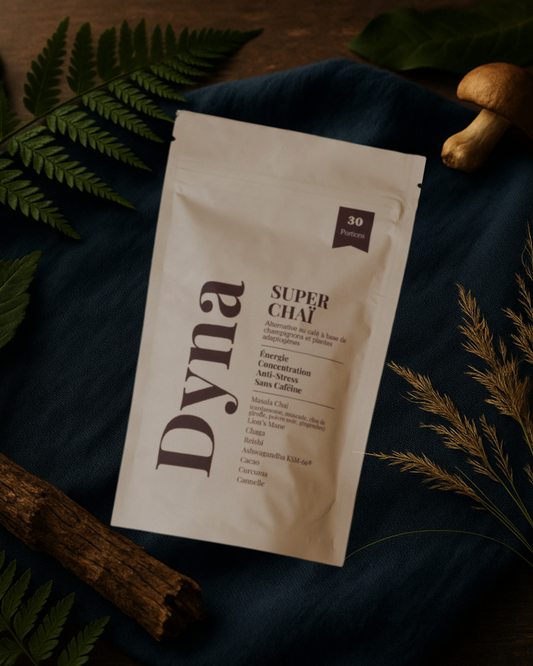 Dyna - Super Chaï - Boisson naturelle sans caféine 🫚
