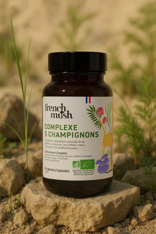 Gélules Complexe 5 Champignons French Mush dans un pot 
