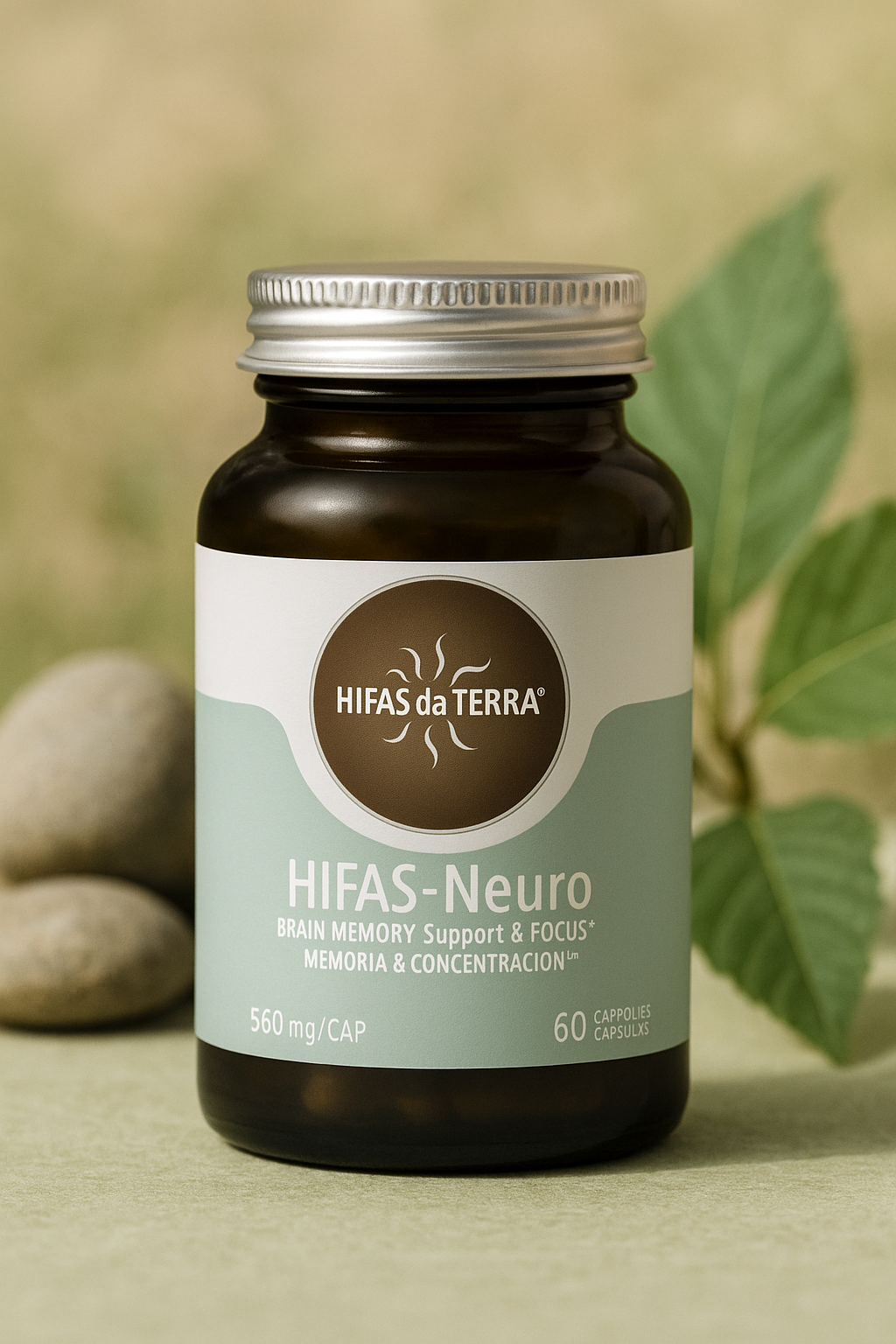 Hifas da Terra - Hifas Neuro - Gélules concentration et mémoire 🧠