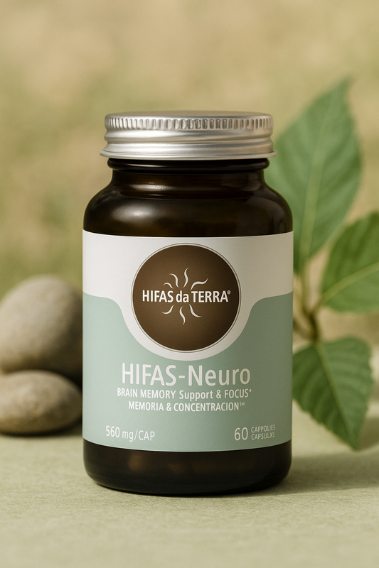 Hifas da Terra - Hifas Neuro - Gélules concentration et mémoire 🧠