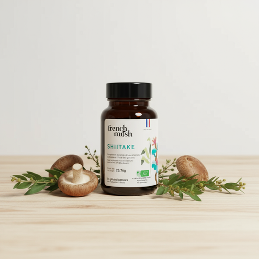 Shiitake produit avec décor naturel
